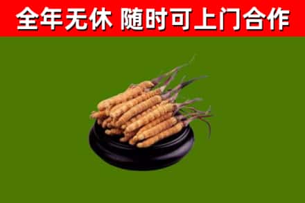 忠市烟酒回收冬虫夏草.jpg