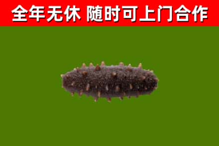 忠市烟酒回收干海参.jpg